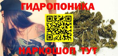 гидра Гай