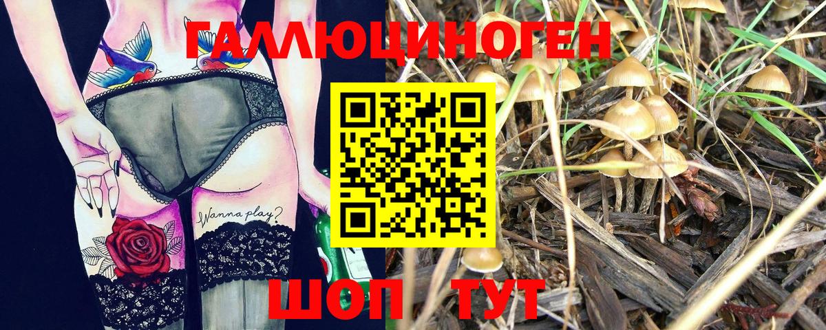 Галлюциногенные грибы MAGIC MUSHROOMS  Псилоцибиновые грибы MAGIC MUSHROOMS  Вход с VPN  Нижний Тагил 